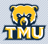 Example of placing logo over a patterned background.