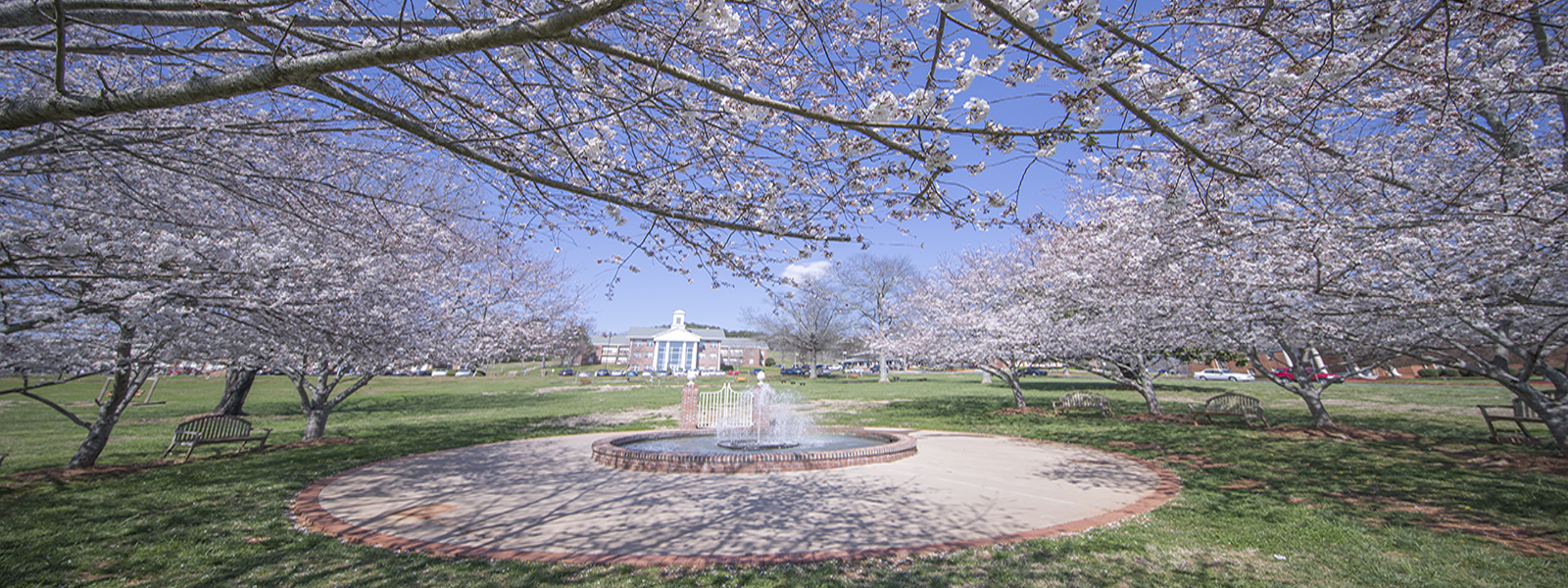 Front lawn and water fountain in the spring