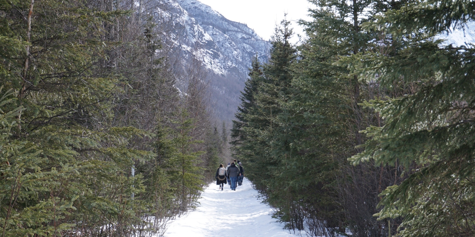 TMU Students in Alaska